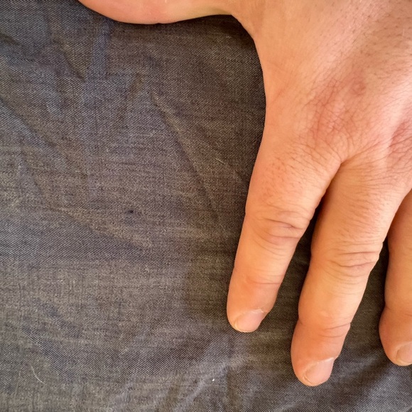 Icebreaker Merino Gray Button-Up Shirt - Picture 9 of 9